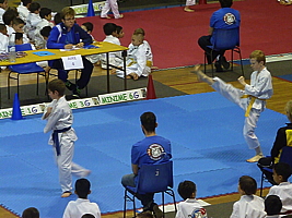 p5030469.jpg