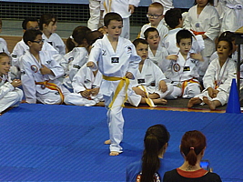 p5030664.jpg