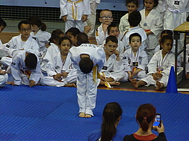 p5030673.jpg