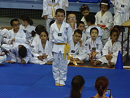 p5030676.jpg