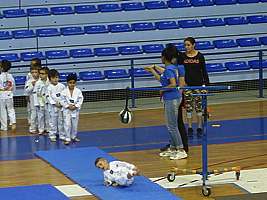 p5030954.jpg