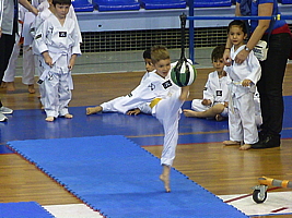 p5040005.jpg