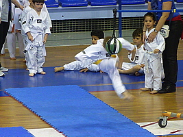 p5040006.jpg