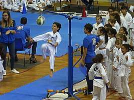 p5040066.jpg