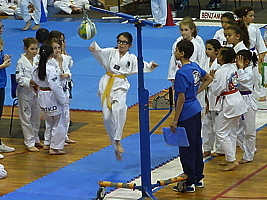 p5040094.jpg