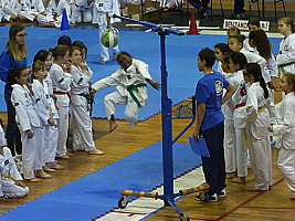 p5040106.jpg