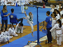 p5040126.jpg