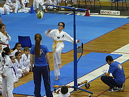 p5040247.jpg