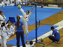 p5040249.jpg