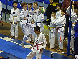 p5040620.jpg