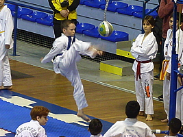 p5040636.jpg