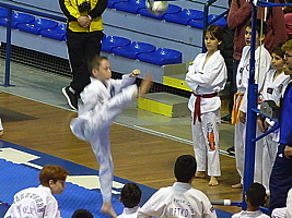 p5040637.jpg