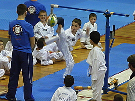 p5040688.jpg