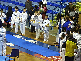 p5040705.jpg