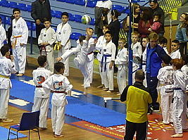 p5040712.jpg