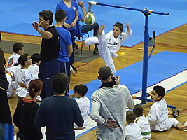 p5040737.jpg