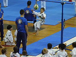 p5040865.jpg
