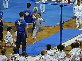 p5040866.jpg