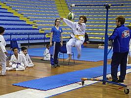 p5040923.jpg