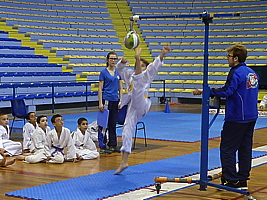 p5040937.jpg