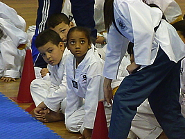 p5050867.jpg