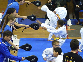 p5050870.jpg