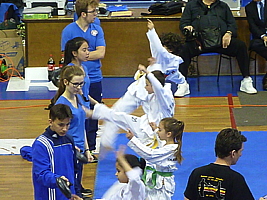 p5050896.jpg