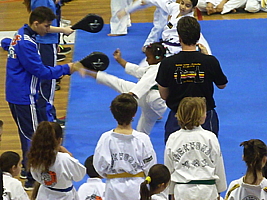 p5050938.jpg