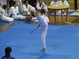 p5060671.jpg
