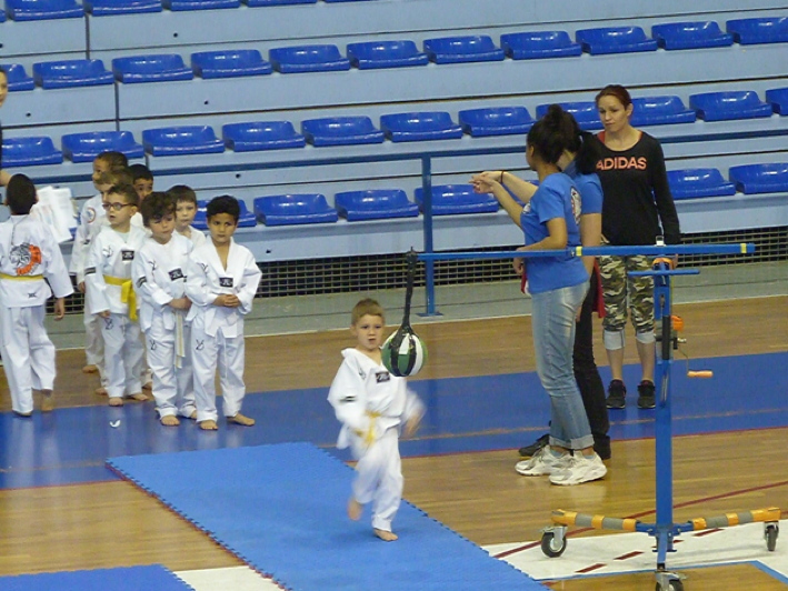 p5030949.jpg