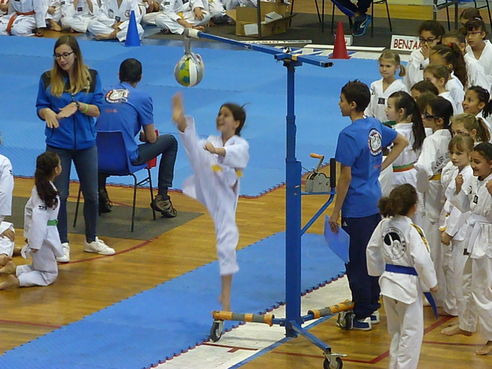 p5040067.jpg
