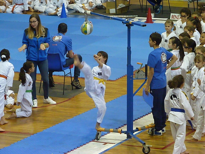 p5040068.jpg