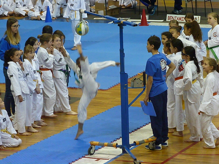 p5040108.jpg