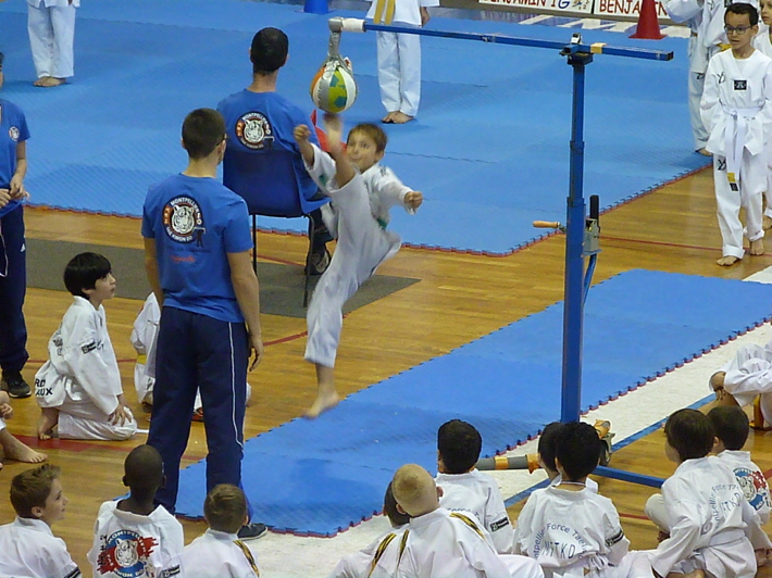 p5040866.jpg