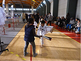 p5380128.jpg