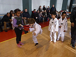 p5380249.jpg