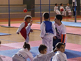 p5380455.jpg