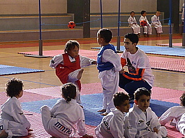 p5380498.jpg