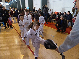 p5380698.jpg