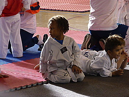 p5380720.jpg