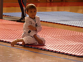p5380777.jpg