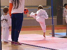p5380806.jpg