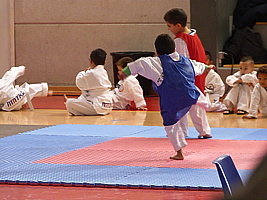 p5380991.jpg