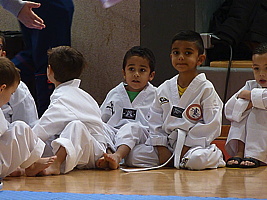 p5390072.jpg