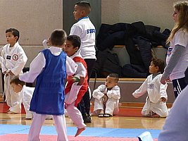 p5390137.jpg