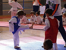 p5390194.jpg