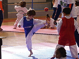 p5390205.jpg
