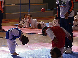 p5390216.jpg
