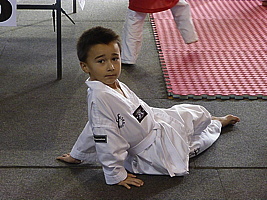 p5390287.jpg