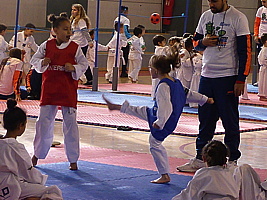 p5390326.jpg